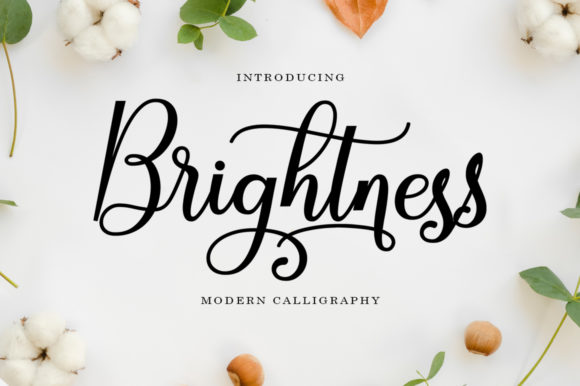 Brightness Font Review: Elevating Campaign Visuals