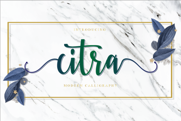 Citra: A Bold Script for Modern Brand Identity