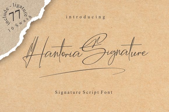 Hantoria Signature Review: A Designer's Take on Script Amp