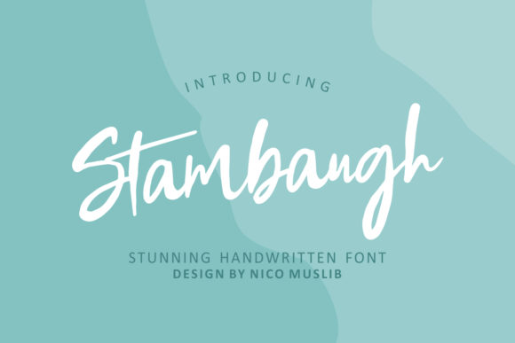 Stambaugh: A Handwritten Font for Polished Branding